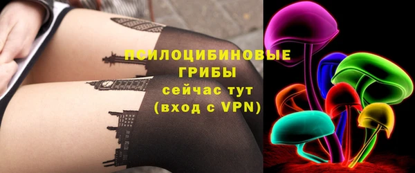 меф Корсаков