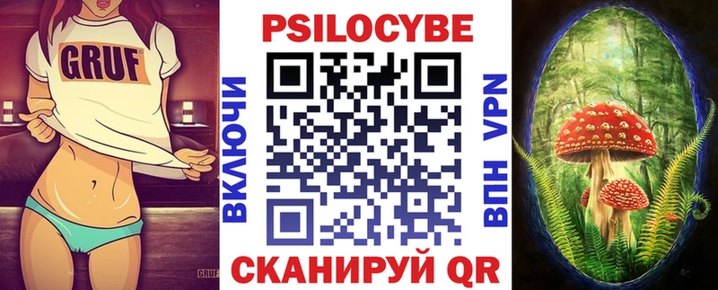 Галлюциногенные грибы GOLDEN TEACHER  Купить  Дубовка 